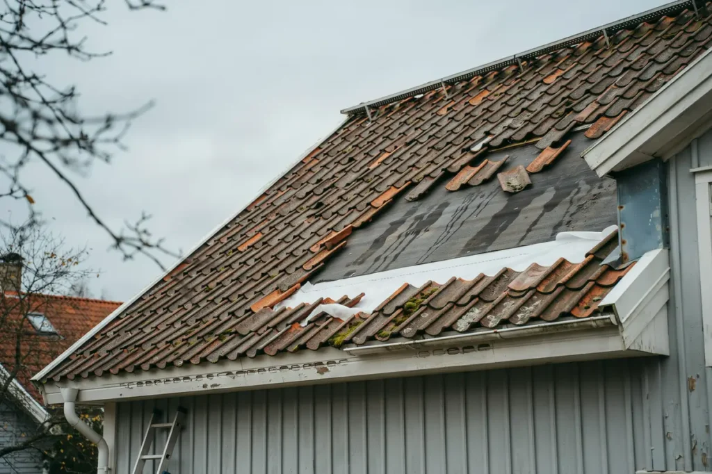 s undviker du kondens p vinden tak tg rder som skyddar huset mot fukt och m gel